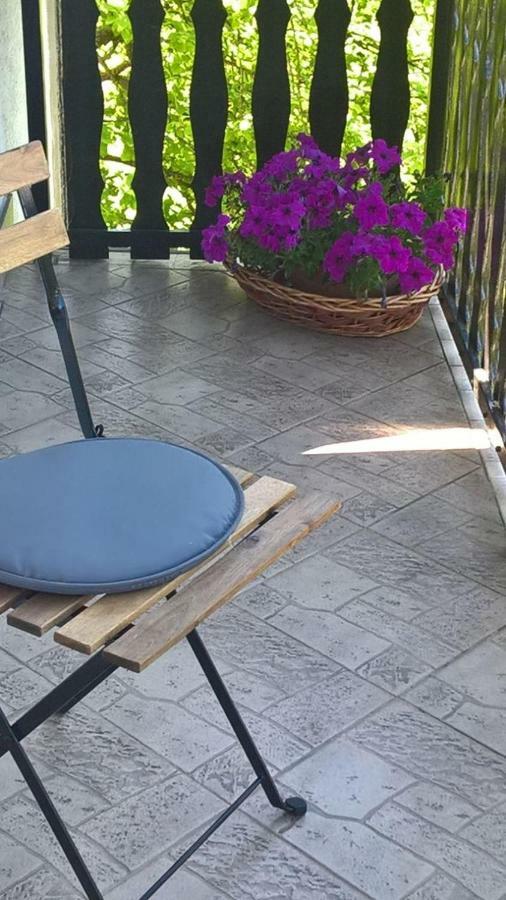 אוגולין Apartman Ruzica מראה חיצוני תמונה
